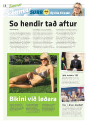 Síða 38