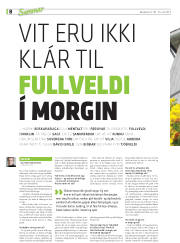 Síða 44