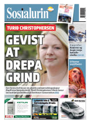 Síða 1