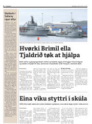 Síða 6