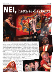 Síða 17