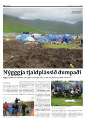 Síða 20