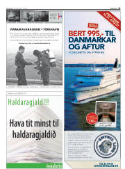 Síða 25
