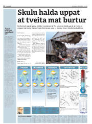Síða 36