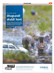Síða 45