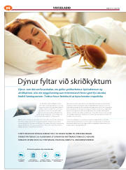 Síða 62