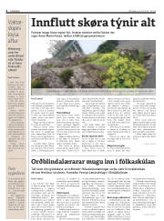 Síða 4