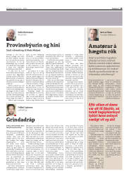 Síða 13