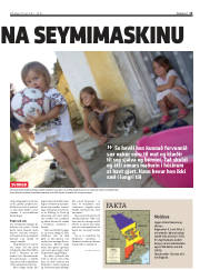 Síða 15