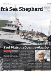 Síða 17