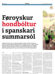 Síða 20