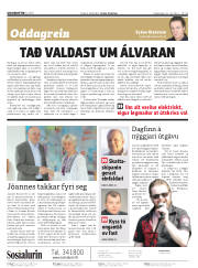 Síða 2
