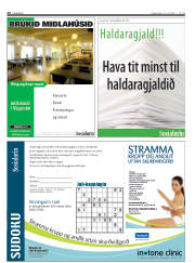 Síða 20