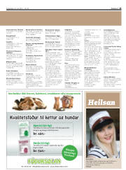 Síða 23