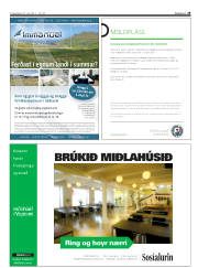 Síða 29