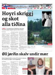 Síða 8