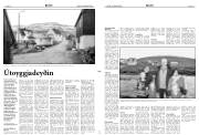 Síða 11