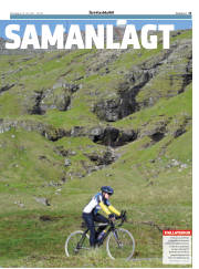 Síða 13