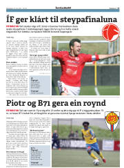 Síða 17