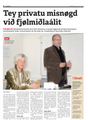 Síða 8