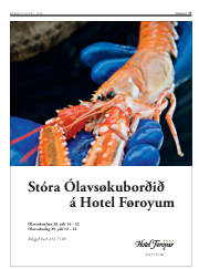 Síða 17