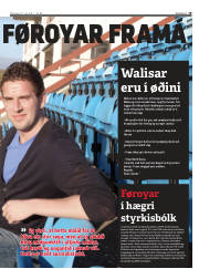Síða 19