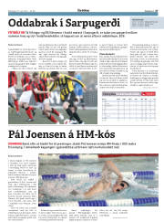 Síða 27