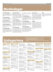 Síða 33