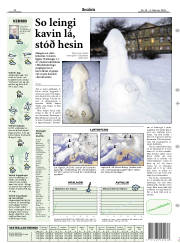 Síða 17