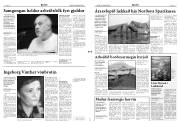 Síða 3