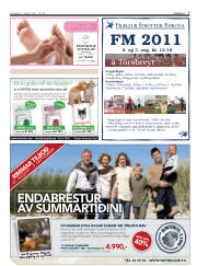 Síða 7