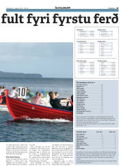 Síða 15