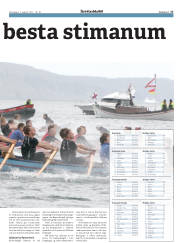 Síða 17