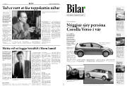Síða 9