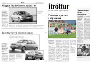 Síða 11