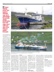 Síða 11