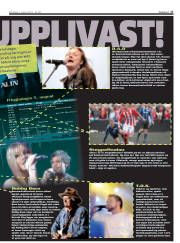 Síða 17