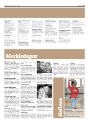 Síða 31