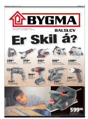 Síða 3