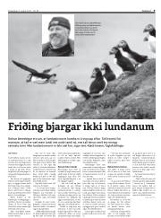 Síða 9