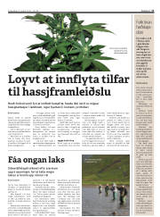 Síða 11