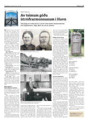 Síða 17