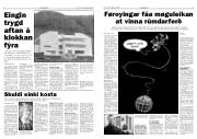 Síða 3