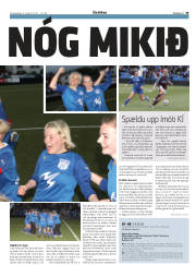 Síða 19