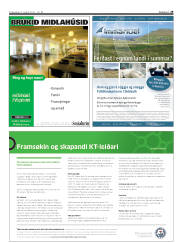 Síða 29
