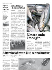Síða 9