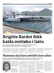 Síða 11