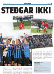 Síða 29
