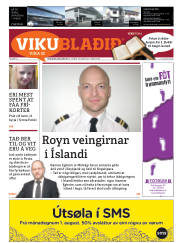 Síða 41