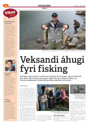 Síða 44